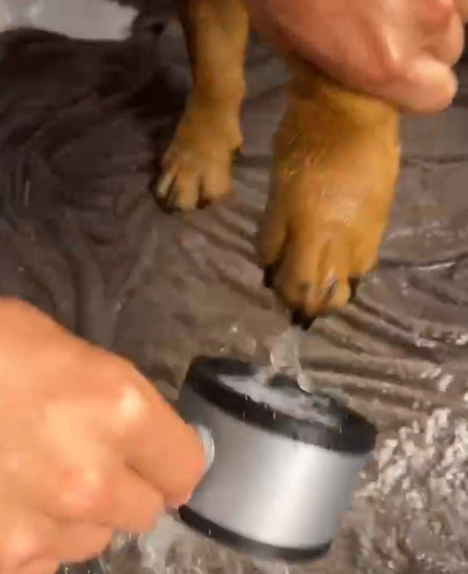 Creative pet foot-washing shower attachment
