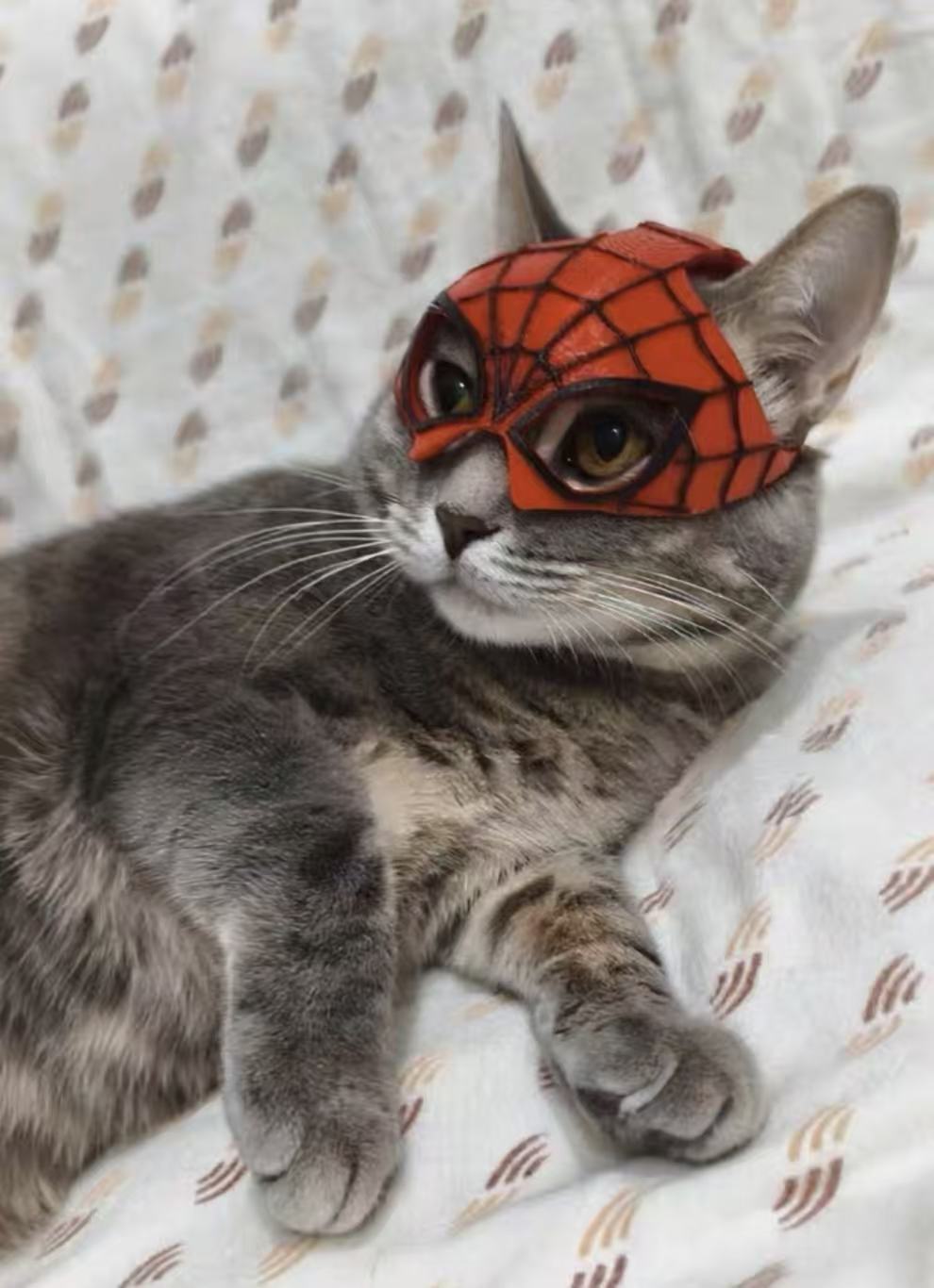 Superhero-style Spider Hero Pet Mask