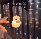 Warm Wind Owl Bookshelf Small Chandelier