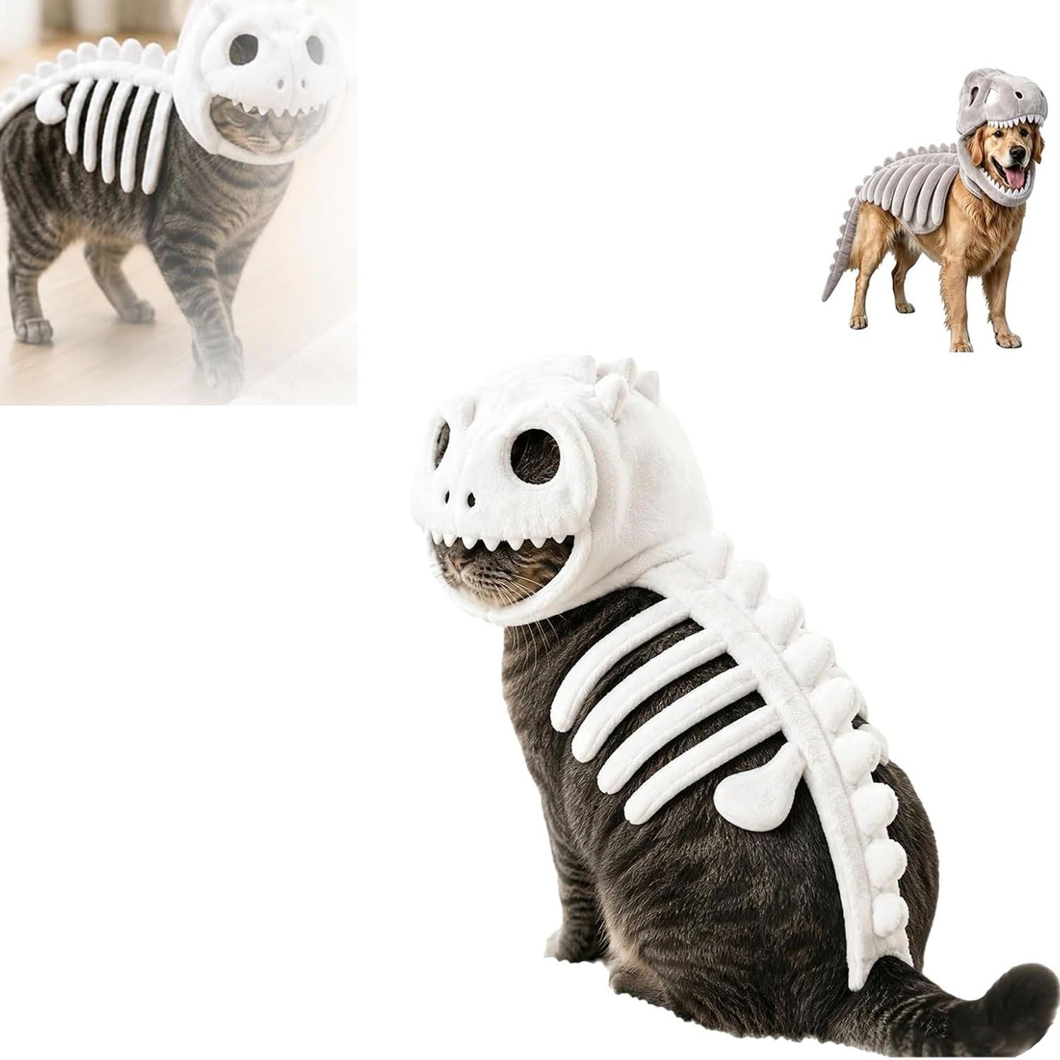 Pet Clothing  cos dinosaur skeleton