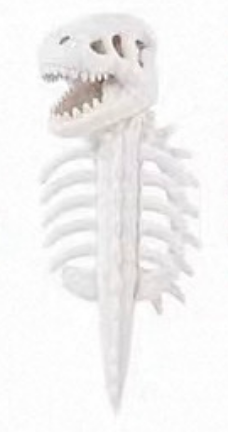 Pet Clothing  cos dinosaur skeleton