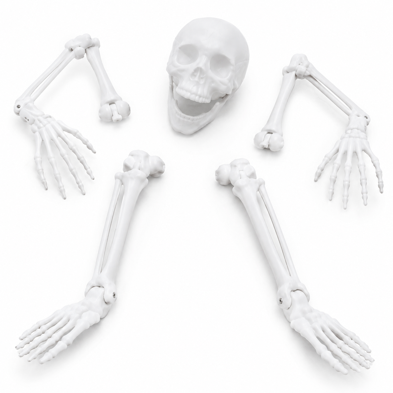Halloween Buried Skeleton Yard Decor – Outdoor Creepy Skeleton Decoration for Lawn & Garden