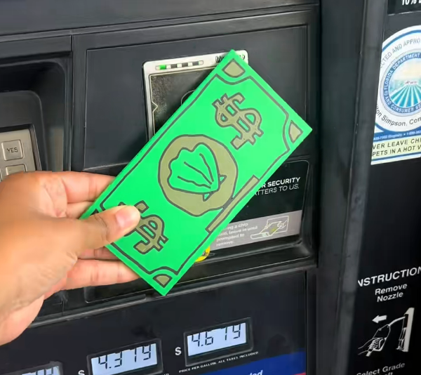 Creative Wind Beach Resort American Express Card Holder