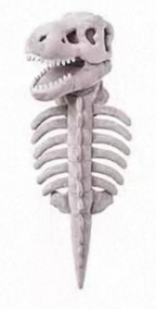 Pet Clothing  cos dinosaur skeleton