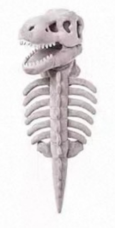 Pet Clothing  cos dinosaur skeleton