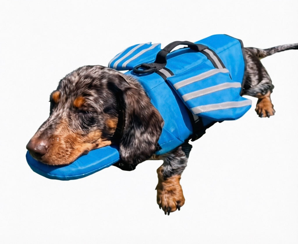 Creative Winged Pet Reflective Life Jacket