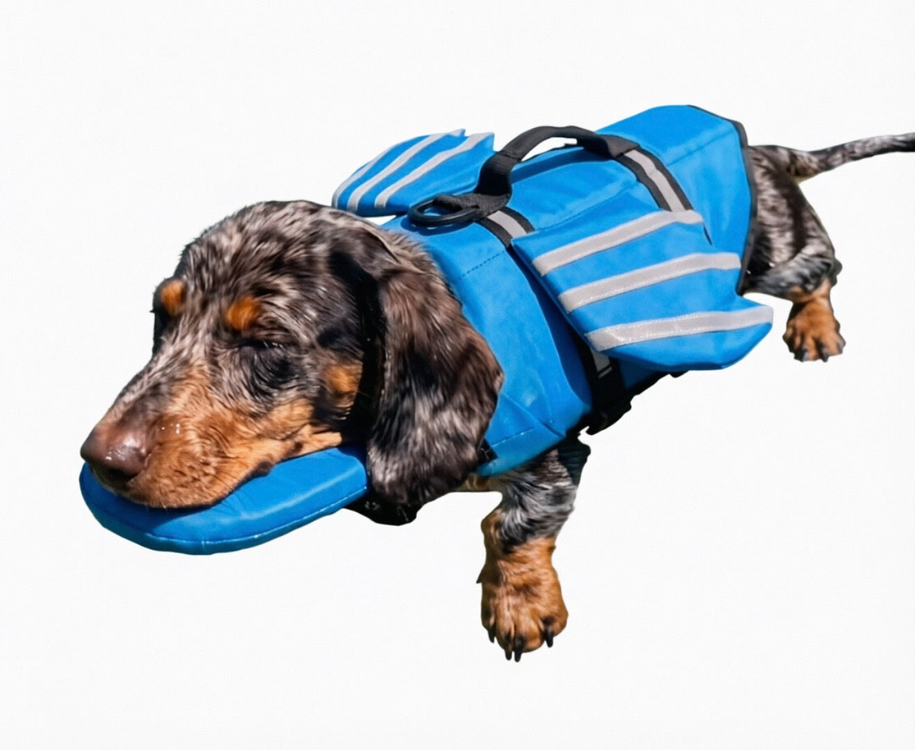 Creative Winged Pet Reflective Life Jacket